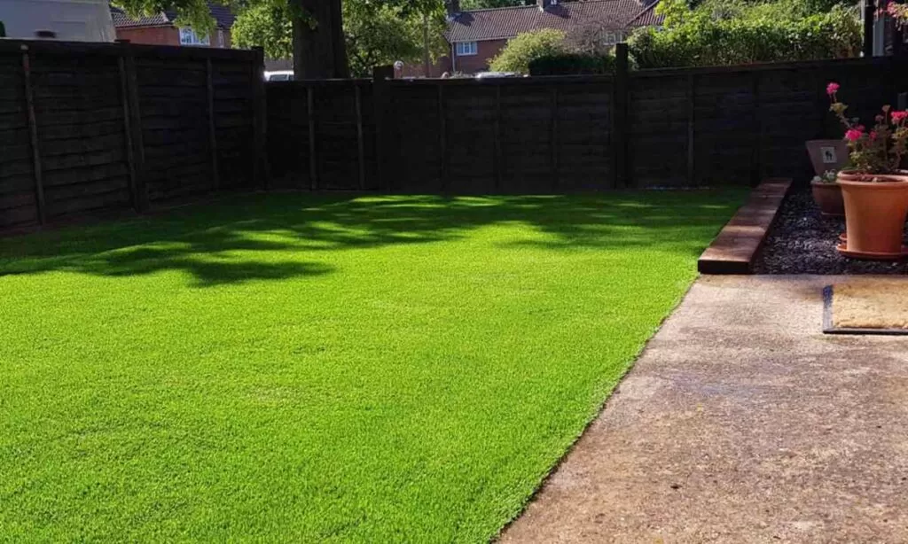 A perfect green lawn