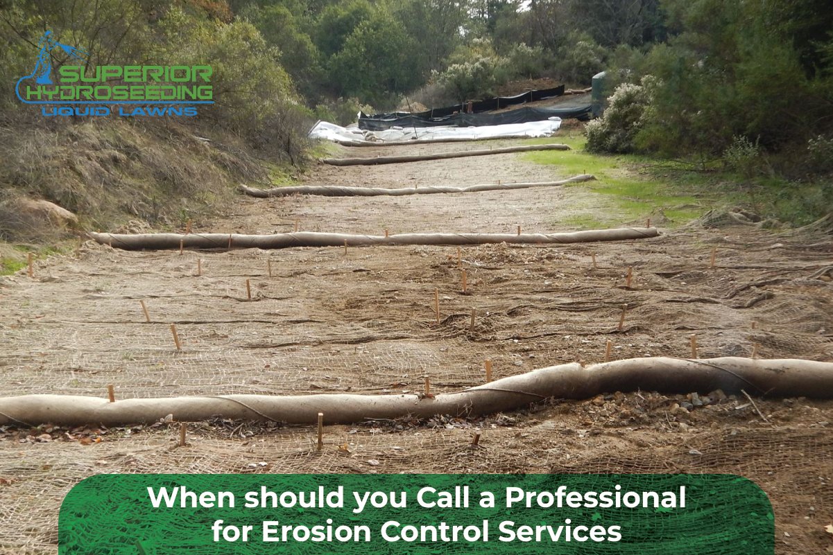 erosion control