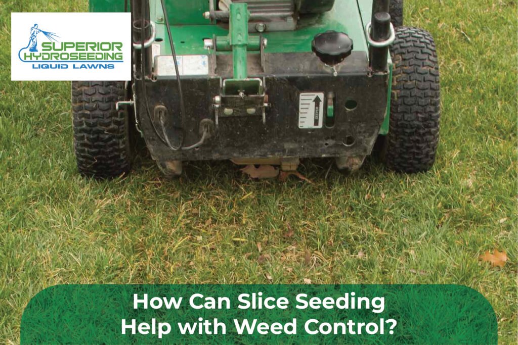 seeding