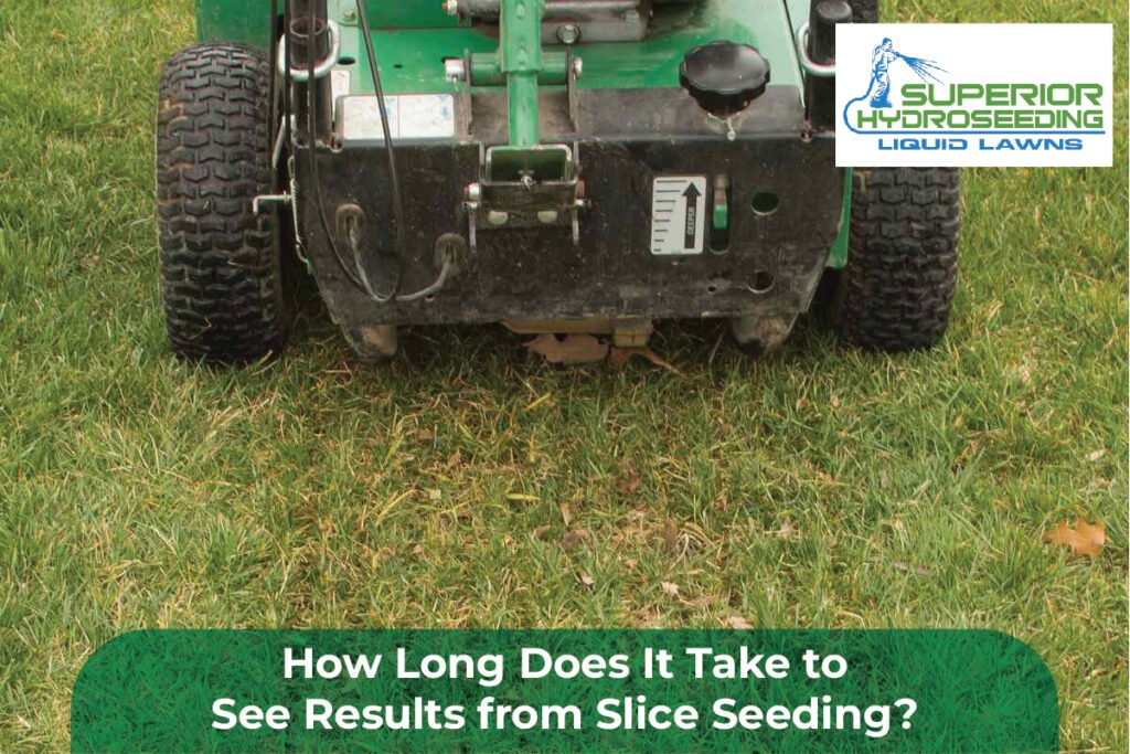 slice seeding