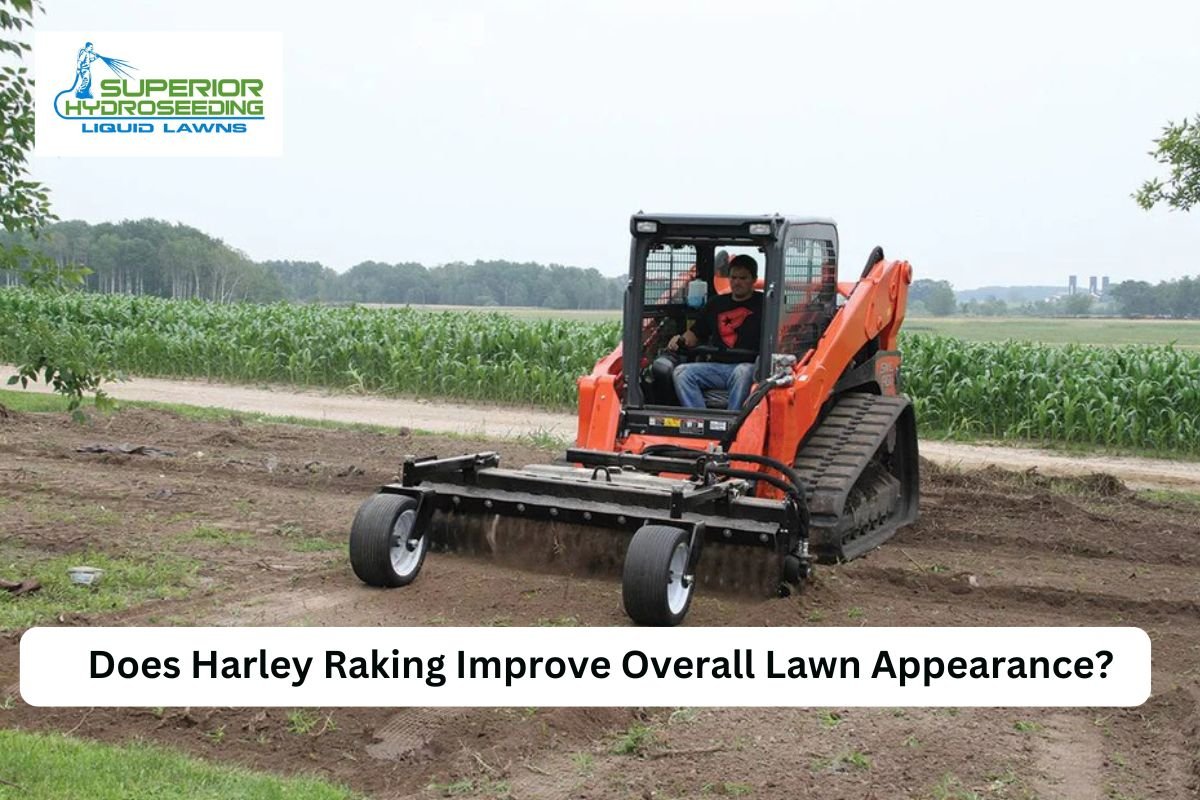 Harley raking