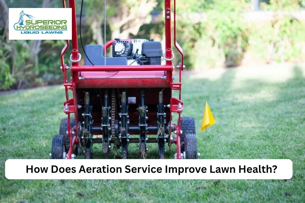 aeration service