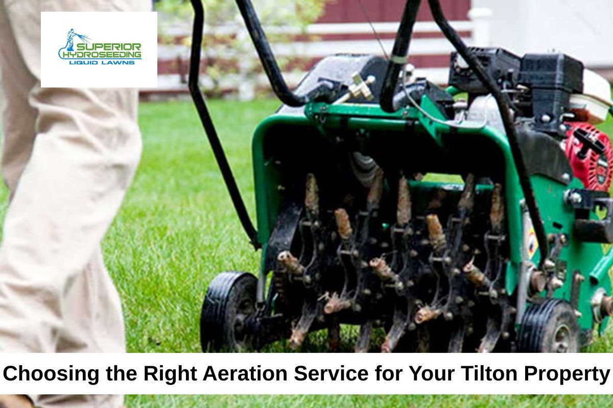 aeration service